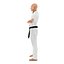 Karate Fighter 2