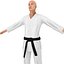 Karate Fighter 2