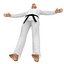 Karate Fighter 2
