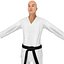 Karate Fighter 2