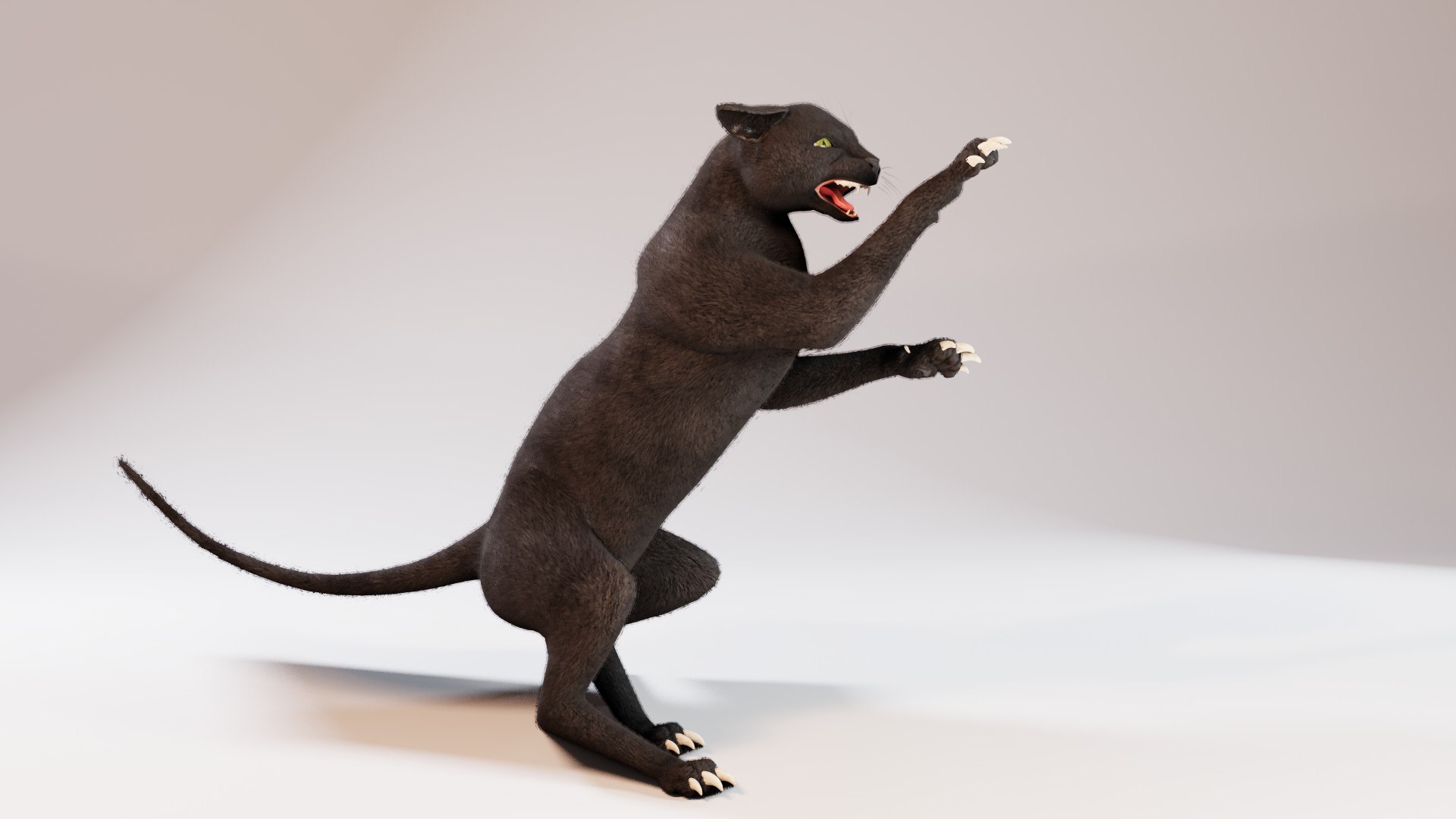 rigged cat black animations 3D model https://p.turbosquid.com/ts-thumb/Mk/n7rOjb/EaBkHSnc/cat_1_5/jpg/1524604180/1920x1080/fit_q87/ce8cebc809b50e2ca89699aebc7218320f3dc096/cat_1_5.jpg