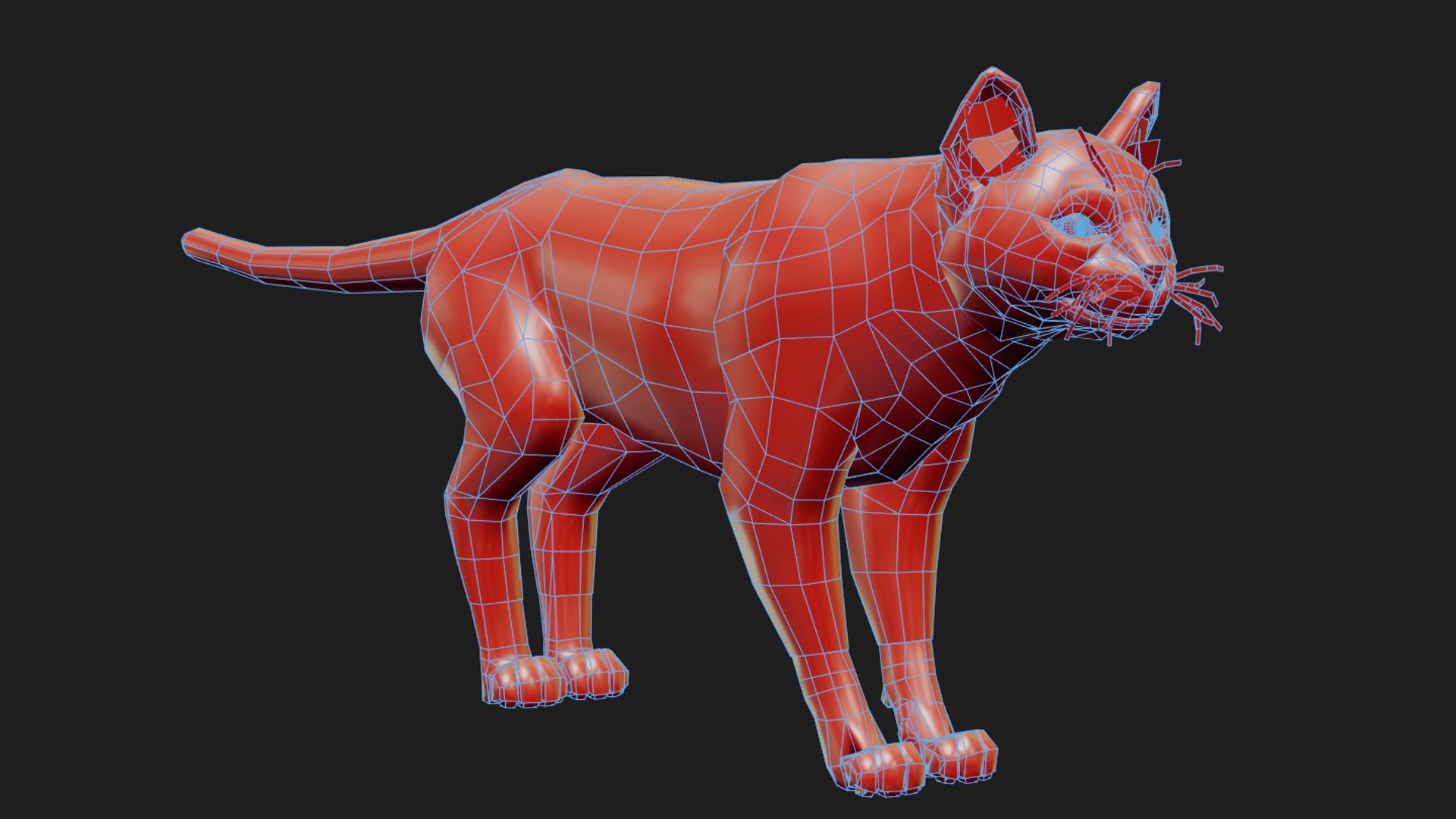 rigged cat black animations 3D model https://p.turbosquid.com/ts-thumb/Mk/n7rOjb/m5d8mQfb/cat_wire_4/jpg/1524604181/1920x1080/fit_q87/7a9f94c9a3805ea1a1625e3194fc4660502844f4/cat_wire_4.jpg