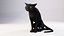 Gato preto rigido