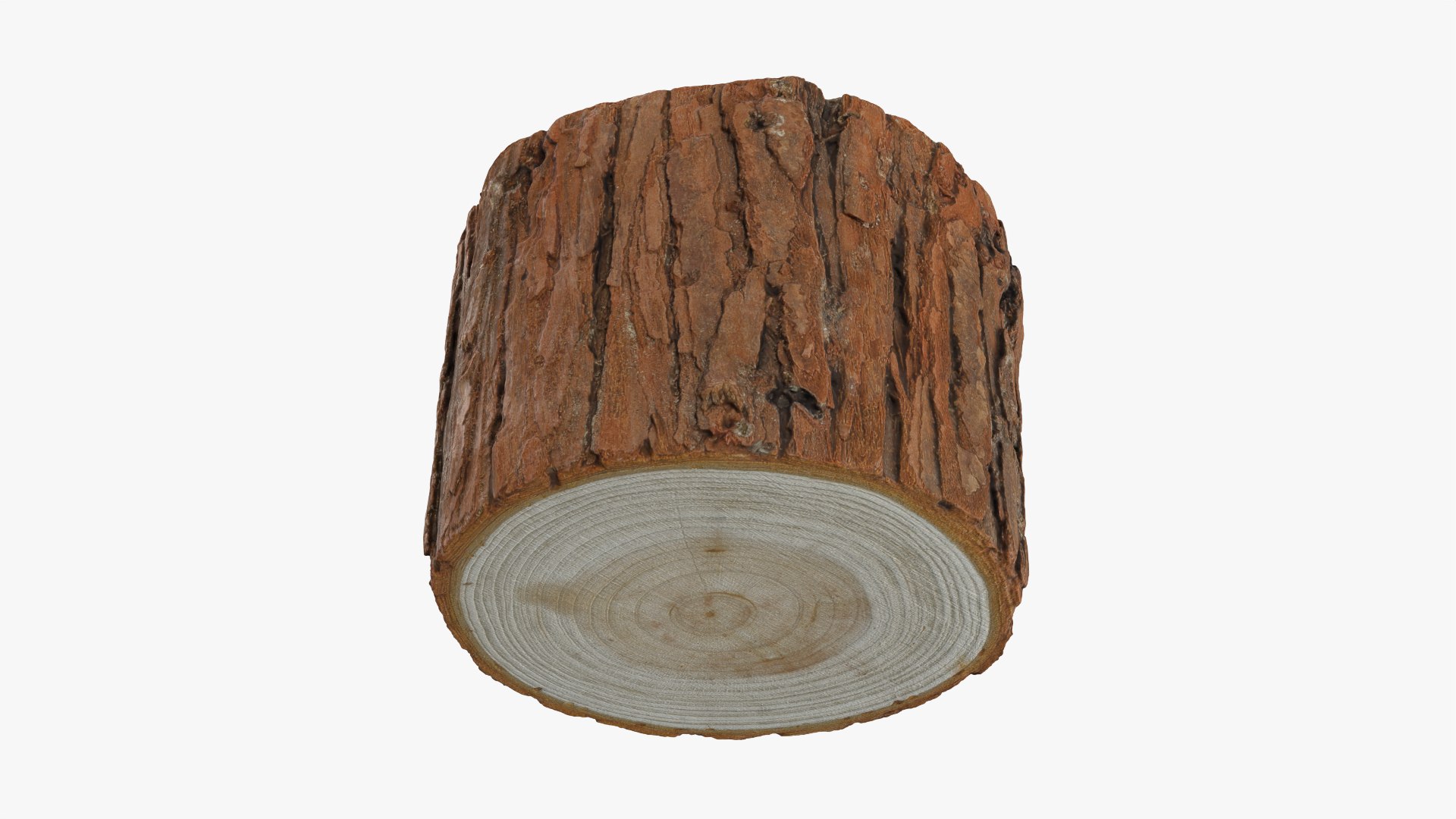 Wood Log - 3D Scanned Collection 3D model https://p.turbosquid.com/ts-thumb/Mk/qFe9D8/2Z/woodlog02_0011/png/1774516820/1920x1080/fit_q87/d12f3de5ef214604deb35536a24d78d77cf312b5/woodlog02_0011.jpg