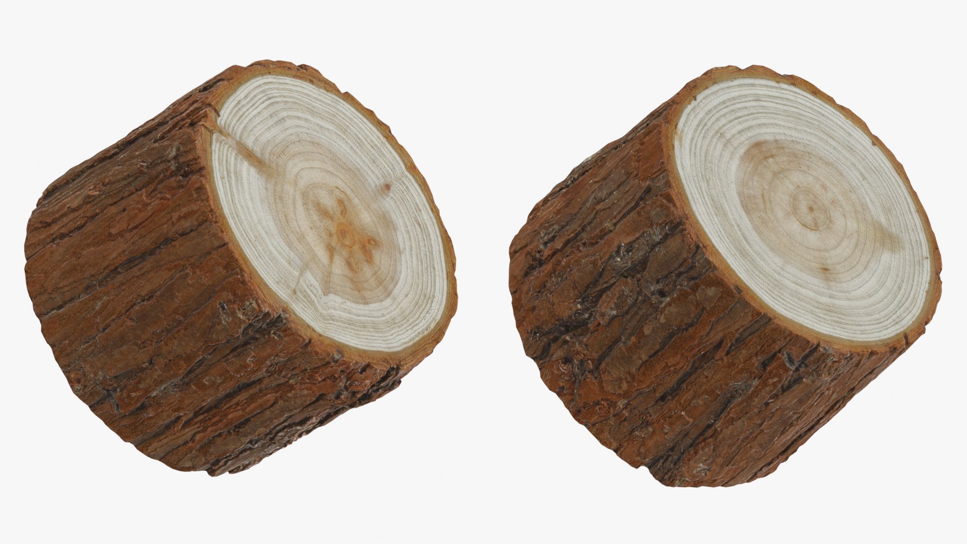 Wood Log - 3D Scanned Collection 3D model https://p.turbosquid.com/ts-thumb/Mk/qFe9D8/2h/woodlog02_0001b/png/1774516817/1920x1080/fit_q87/c80ffe692e1c5459a2db570ad9d365d0c1139fd1/woodlog02_0001b.jpg
