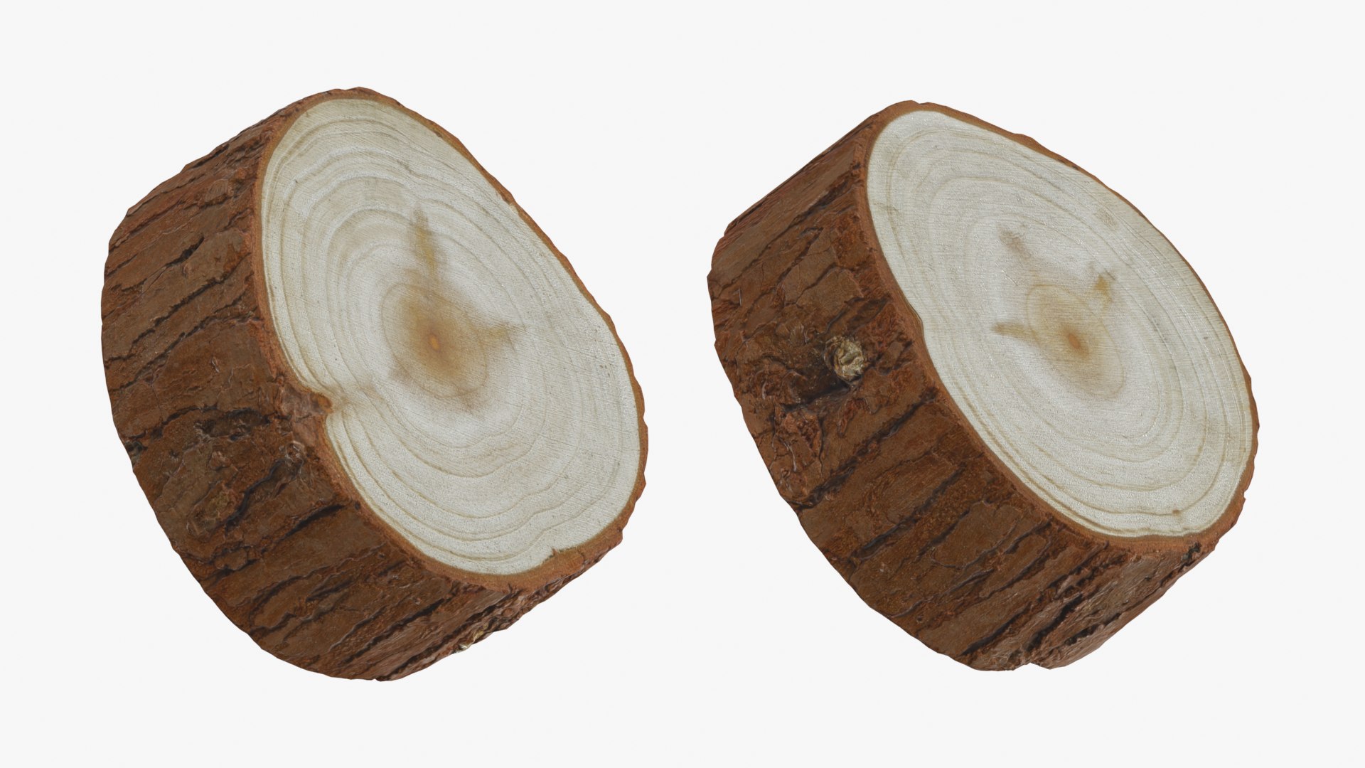 Wood Log - 3D Scanned Collection 3D model https://p.turbosquid.com/ts-thumb/Mk/qFe9D8/V4/woodlog01_0001b/png/1774516795/1920x1080/fit_q87/4aaefb03c17fcac71f3ecbdf56569052d18e3c0f/woodlog01_0001b.jpg