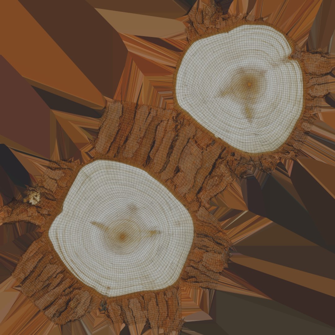 Wood Log - 3D Scanned Collection 3D model https://p.turbosquid.com/ts-thumb/Mk/qFe9D8/VV/woodlog01_e0004/png/1774516797/1920x1080/fit_q87/3ee41b3254aa88f894a0c02442224dd54bc3cde1/woodlog01_e0004.jpg