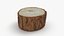 Holzstamm – 3D-gescannte Kollektion