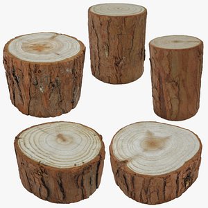 Wood Log - 3D Scanned Collection 3D model