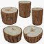 Holzstamm – 3D-gescannte Kollektion