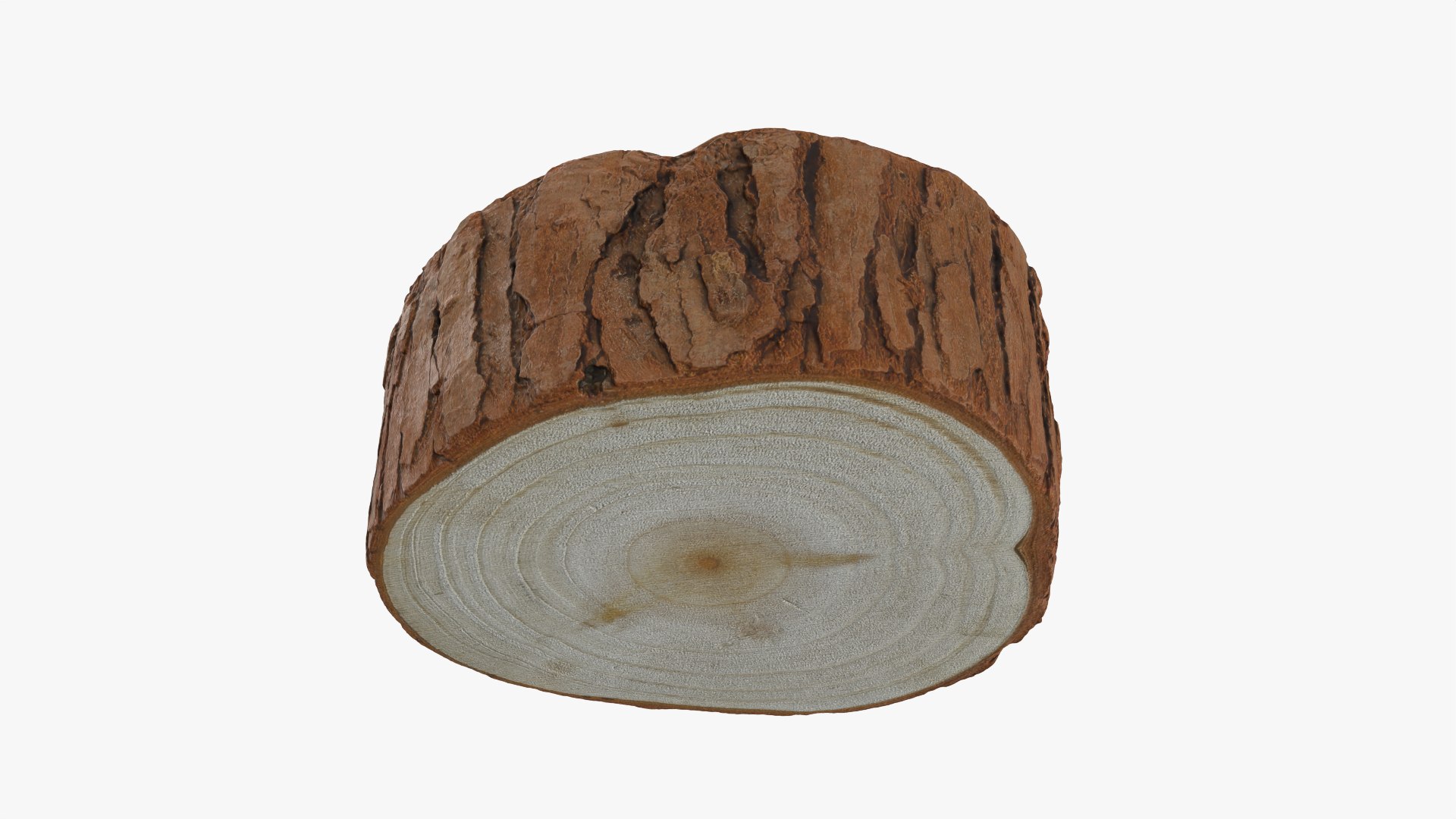 Wood Log - 3D Scanned Collection 3D model https://p.turbosquid.com/ts-thumb/Mk/qFe9D8/oF/woodlog01_0011/png/1774516796/1920x1080/fit_q87/af42933c5443a1b4b907ae25f284c71bf2149d58/woodlog01_0011.jpg