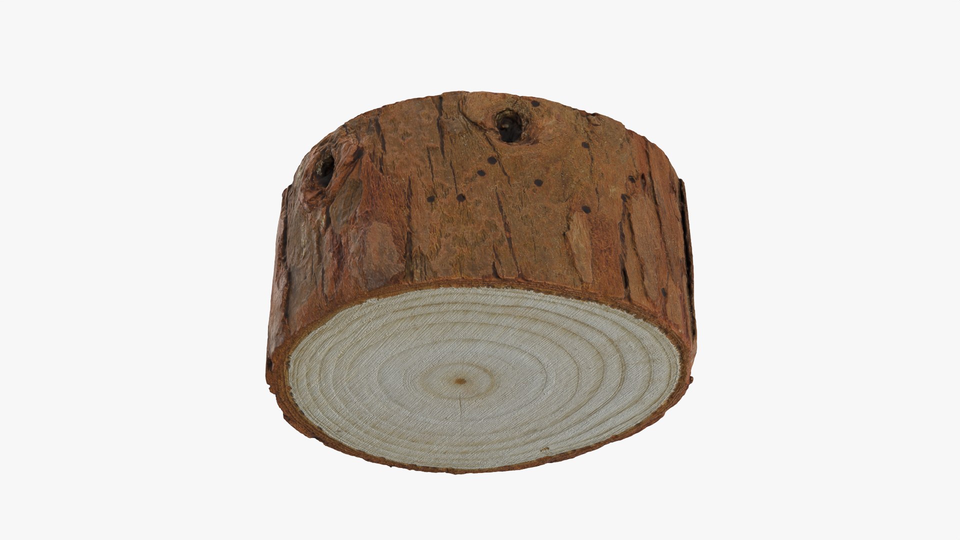 Wood Log - 3D Scanned Collection 3D model https://p.turbosquid.com/ts-thumb/Mk/qFe9D8/pM/woodlog03_0011/png/1774516861/1920x1080/fit_q87/beee6b2fc8b1c52ca070e2a592df10100b9326c0/woodlog03_0011.jpg