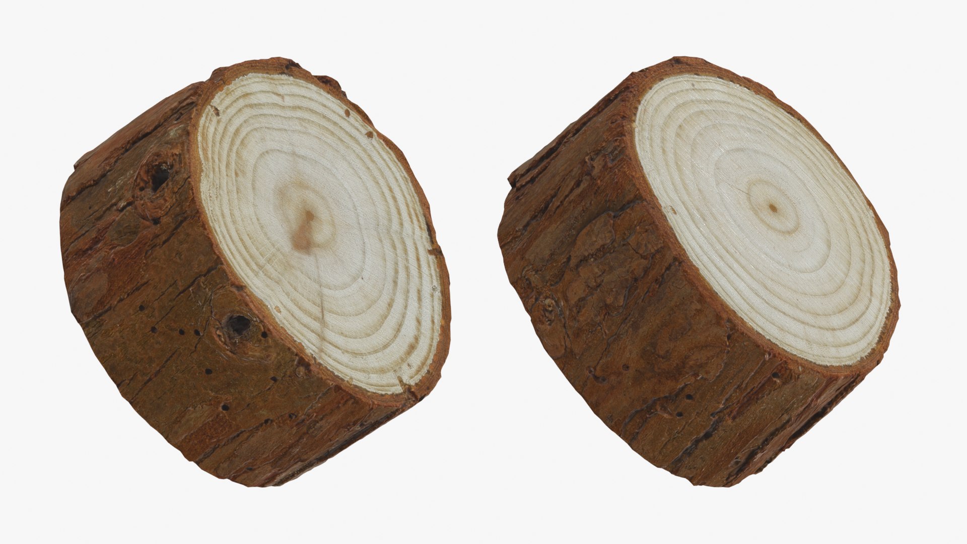 Wood Log - 3D Scanned Collection 3D model https://p.turbosquid.com/ts-thumb/Mk/qFe9D8/pv/woodlog03_0001b/png/1774516854/1920x1080/fit_q87/10d6719e1b41961a98c5300d6d30534b8c4c97e4/woodlog03_0001b.jpg