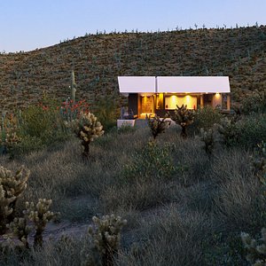 Collection 23 - Mexican Plants 3D model