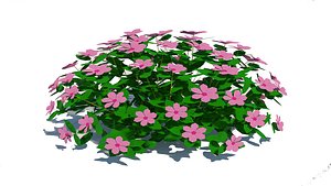 3D Impatiens-pink model