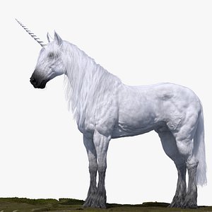 3D Unicorn