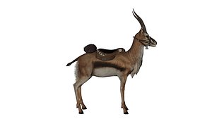Stylized Antelope Mount  Saddled Creature for RPG  Adventure Games 3D model