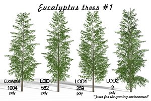Eucalyptus tree #1