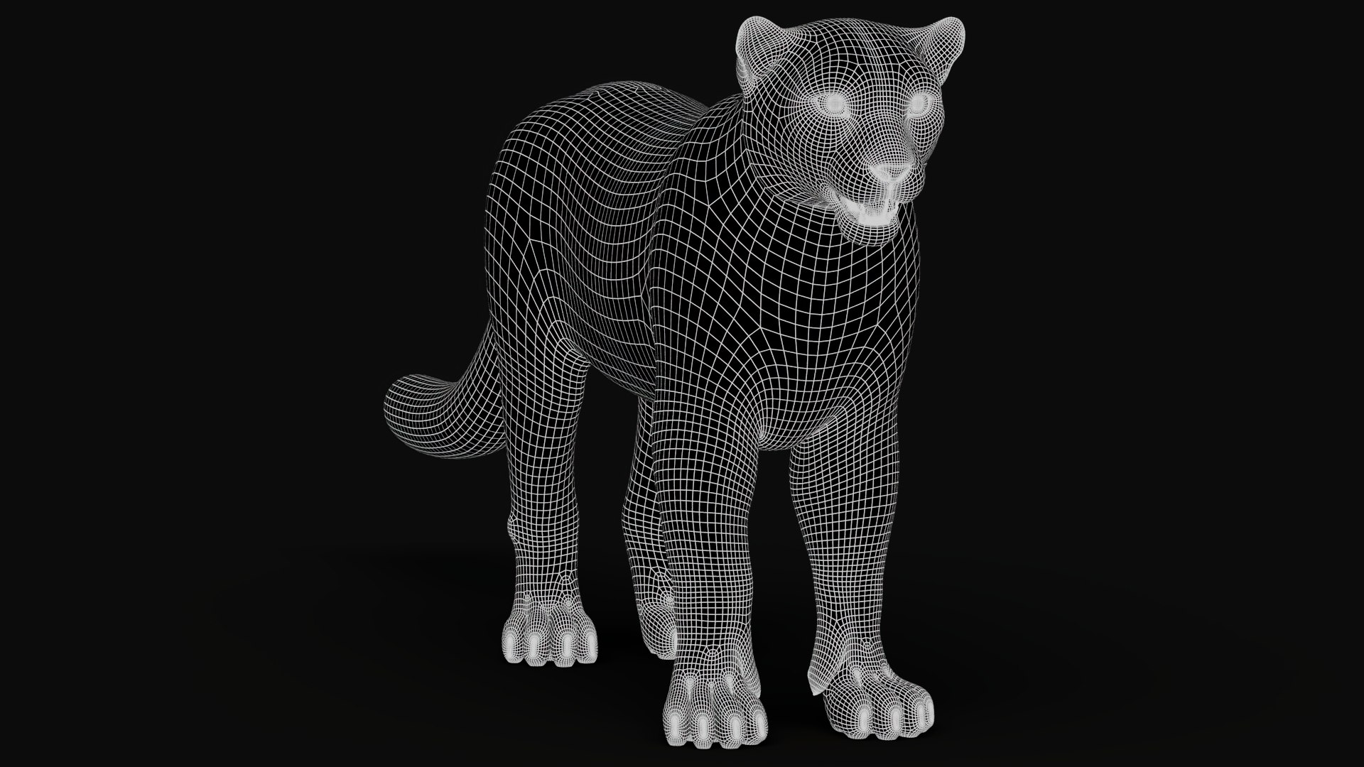 Static Snow Leopard 3D Model Game-Ready 8K PBR 3D model https://p.turbosquid.com/ts-thumb/Ml/I0mXkt/X5/snowleopard3dmodelwire002/jpg/1790882873/1920x1080/fit_q87/d02f636219c2d1032cc7dd06350f82ec34b6945a/snowleopard3dmodelwire002.jpg