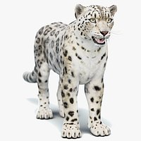 Static Snow Leopard 3D Model Game-Ready 8K PBR
