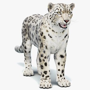 Static Snow Leopard 3D Model Game-Ready 8K PBR