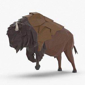 Buffalo Charging