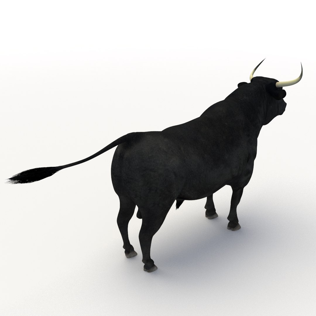 Bull Rigged 3D Model - TurboSquid 1192640