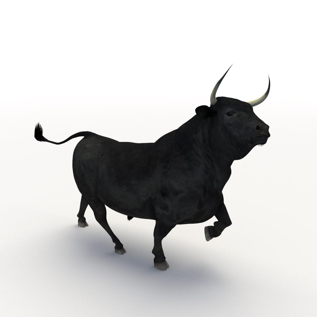Bull Rigged 3D Model - TurboSquid 1192640