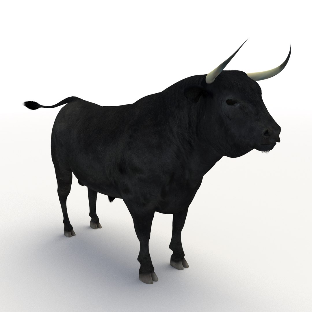 Bull Rigged 3D Model - TurboSquid 1192640