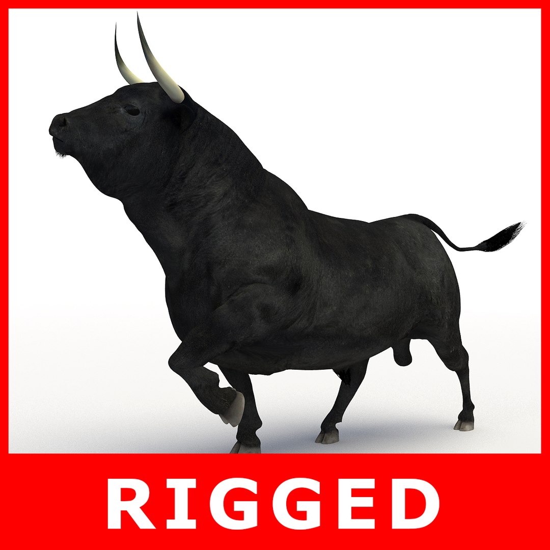 Bull Rigged 3D Model - TurboSquid 1192640