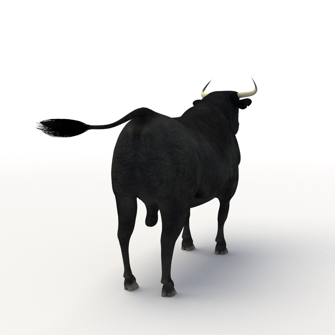 Bull Rigged 3D Model - TurboSquid 1192640