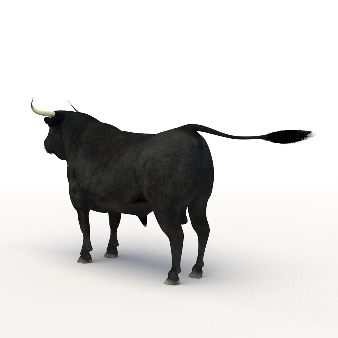 Bull Rigged 3D Model - TurboSquid 1192640