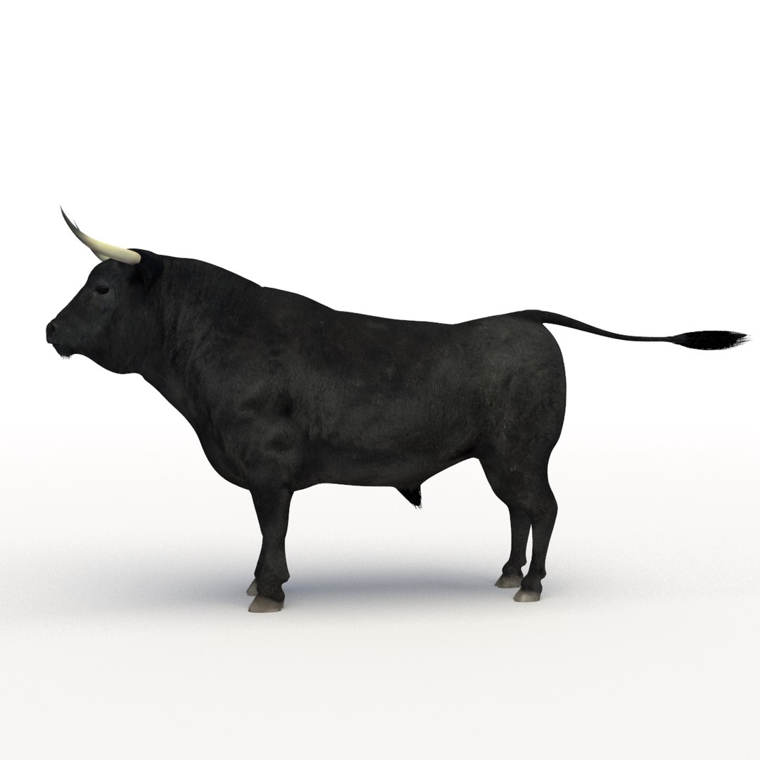 Bull Rigged 3D Model - TurboSquid 1192640