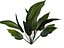 Um arbusto tropical