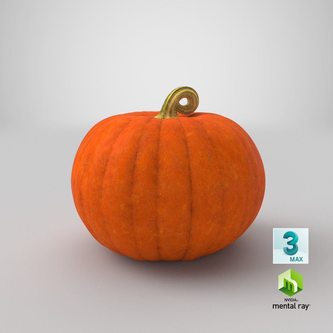 Halloween Pumpkins Collection V3 3D model https://p.turbosquid.com/ts-thumb/Ml/kxAVj5/lM/stemcell_max_mental_ray_render/png/1628271679/1920x1080/fit_q87/3709edcba70470f114736829c0dc651c3a33a159/stemcell_max_mental_ray_render.jpg