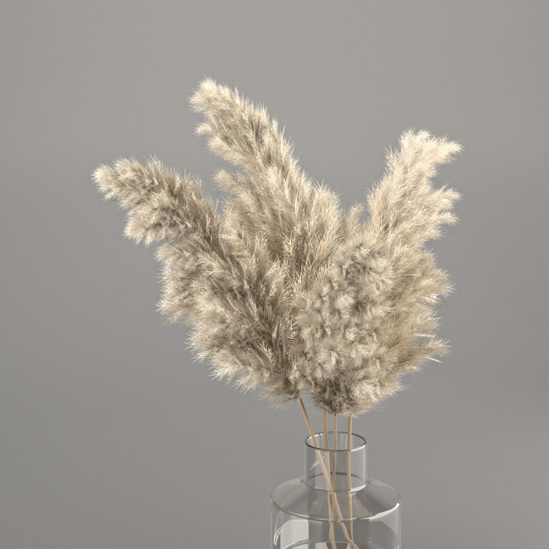 3D indoor and outdoor plant collection https://p.turbosquid.com/ts-thumb/Ml/xwh8cK/J7/5pp1/jpg/1623150827/1920x1080/fit_q87/32fef886e7e33328cd78306faa0c697df4c56545/5pp1.jpg