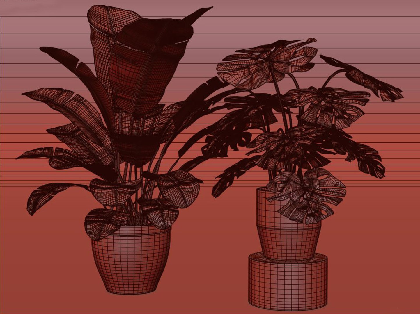 3D indoor and outdoor plant collection https://p.turbosquid.com/ts-thumb/Ml/xwh8cK/KN/clay1/jpg/1614515517/1920x1080/fit_q87/b9f62d0aea43343dfa9c6f54bf174989203ccfc1/clay1.jpg