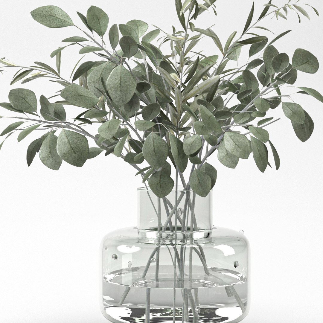 3D indoor and outdoor plant collection https://p.turbosquid.com/ts-thumb/Ml/xwh8cK/XI/3p1/jpg/1636580199/1920x1080/fit_q87/246e570e4af87383062b5273551762c78bf22e7e/3p1.jpg