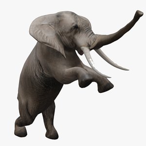 Elephant Game Enemy