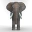 Elephant 3D Model