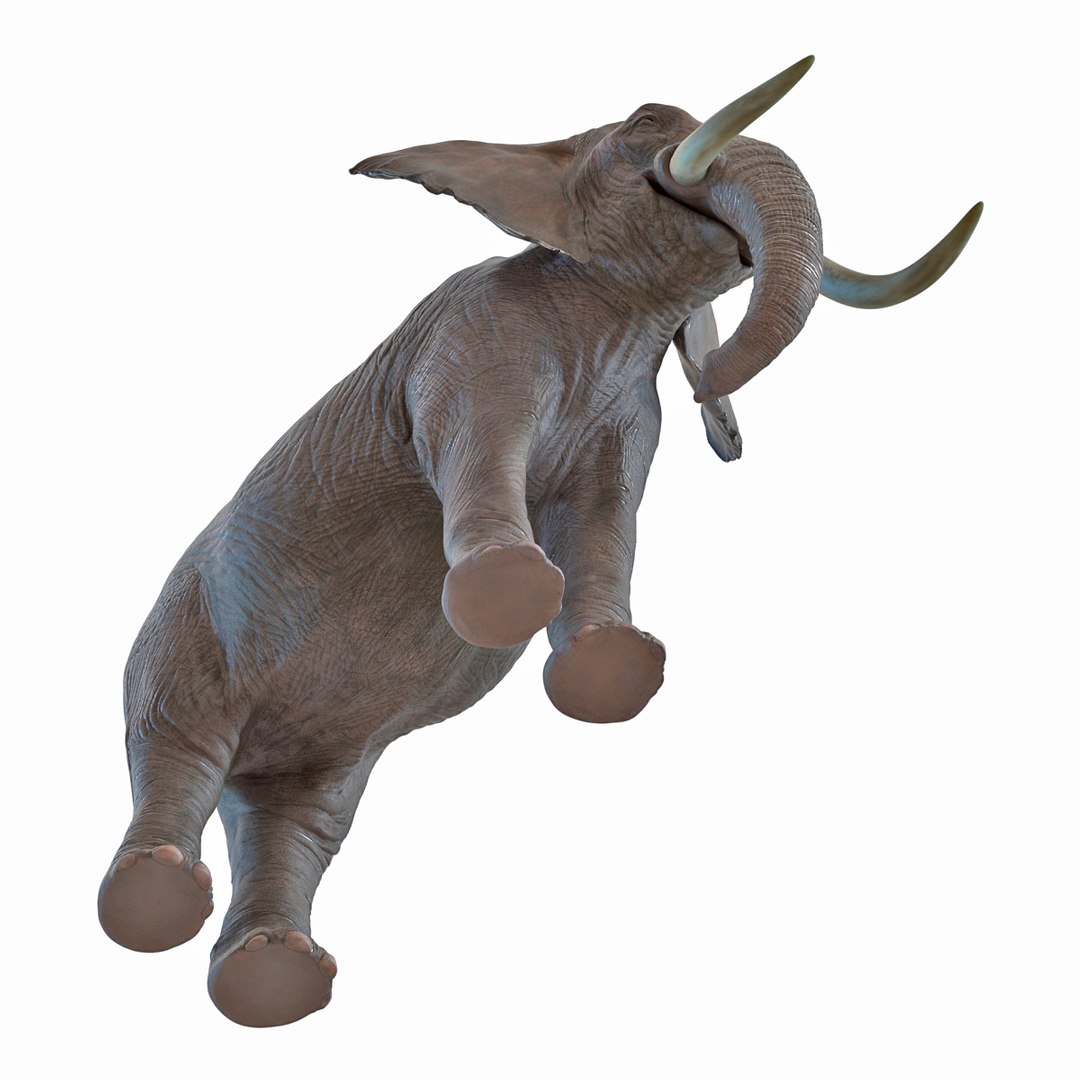 elephant realistic 3d 3ds https://p.turbosquid.com/ts-thumb/Mm/0P3JQ7/5m5NeSRs/elephant3dmodel14/jpg/1453135926/1920x1080/fit_q87/c2e31ed25228dc87e50d86ece0a526ef4db2932e/elephant3dmodel14.jpg