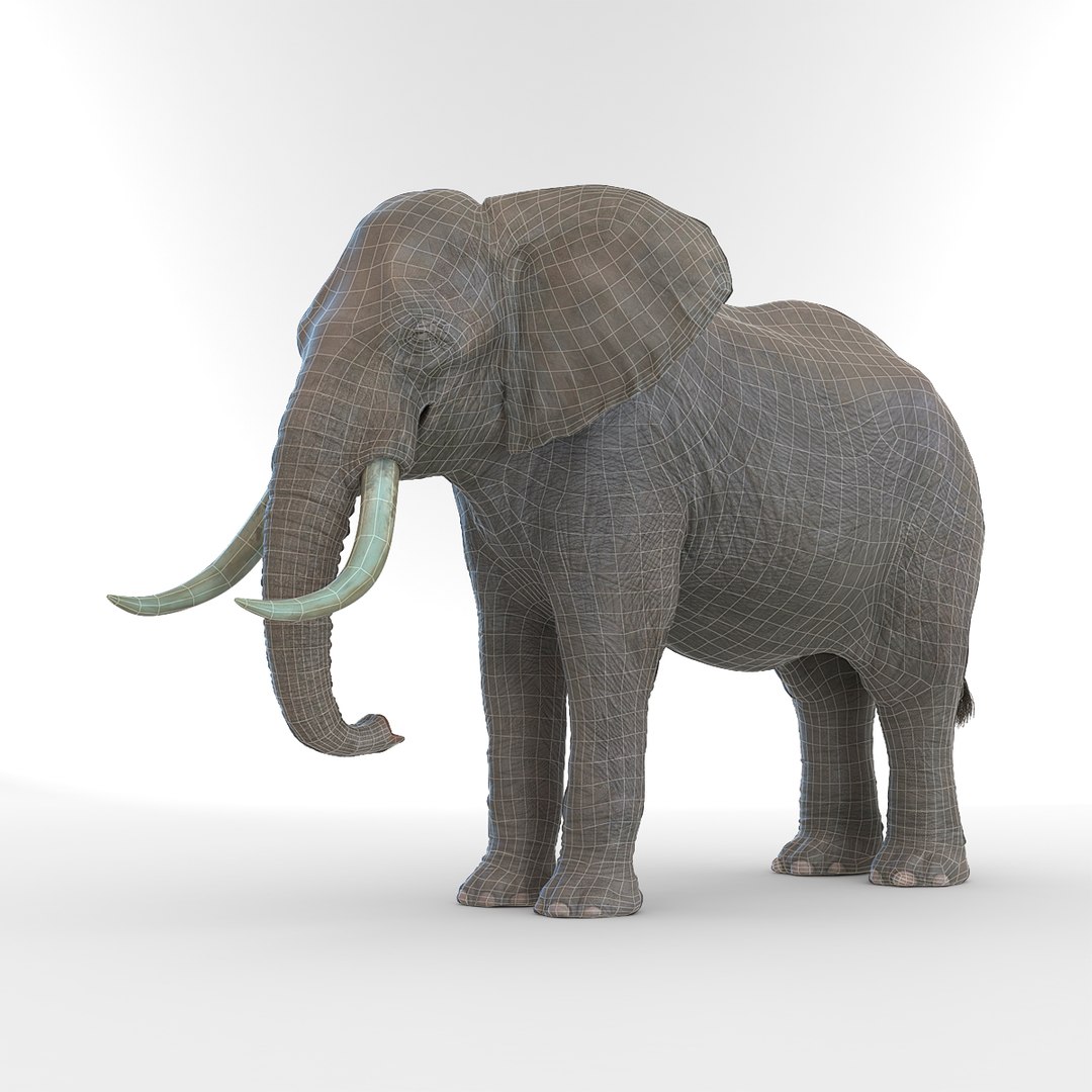 elephant realistic 3d 3ds https://p.turbosquid.com/ts-thumb/Mm/0P3JQ7/EvyBhdie/elephant3dmodel02/jpg/1453135924/1920x1080/fit_q87/5bb0ff6aaee75c220fea3ddb5f58b6b904f16896/elephant3dmodel02.jpg