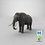 elephant realistic 3d 3ds