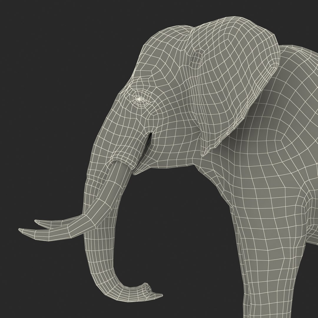 elephant realistic 3d 3ds https://p.turbosquid.com/ts-thumb/Mm/0P3JQ7/JcB4miHN/elephant3dmodel32/jpg/1453135928/1920x1080/fit_q87/40fc7523278a338364c877425cbfafdb600ea81c/elephant3dmodel32.jpg