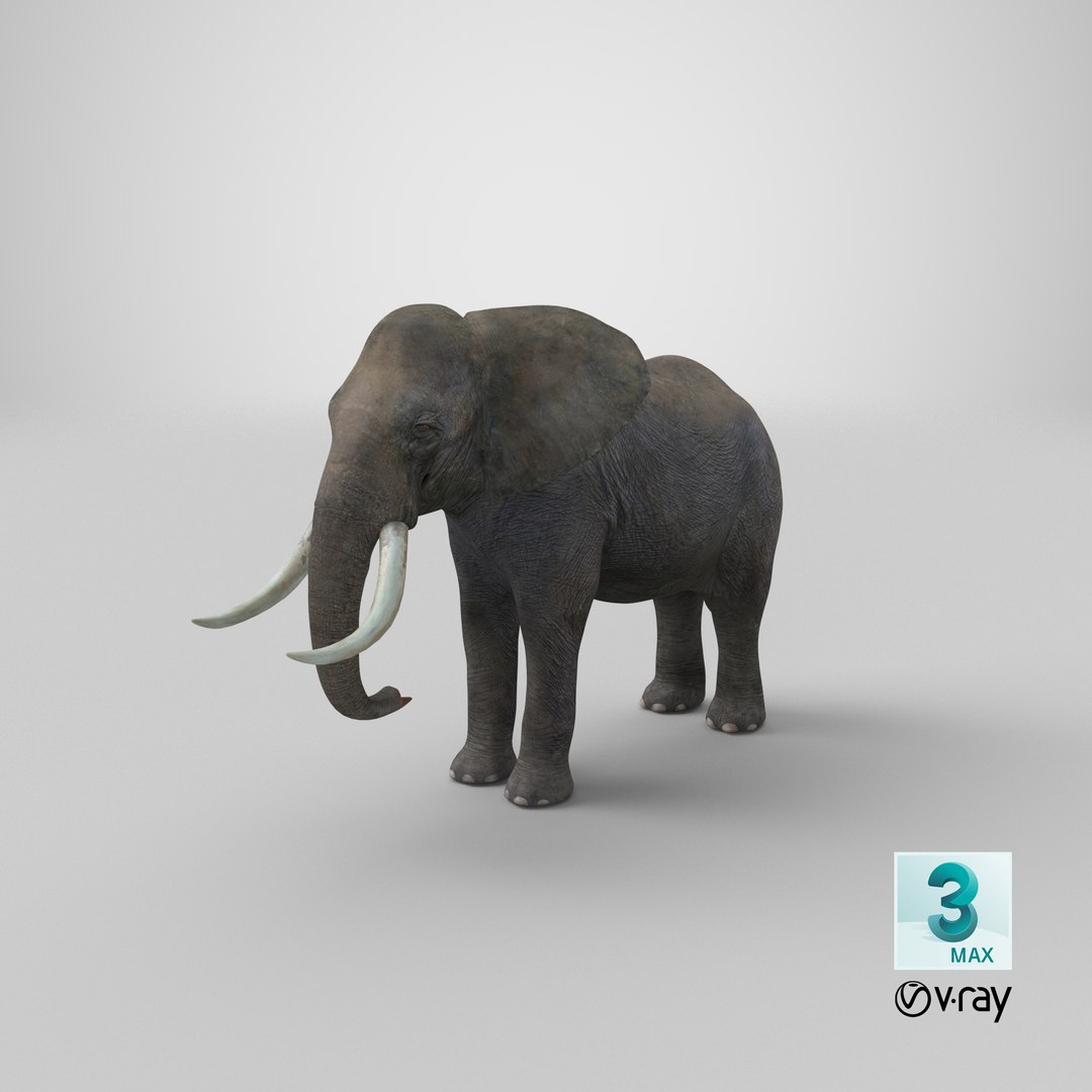 elephant realistic 3d 3ds https://p.turbosquid.com/ts-thumb/Mm/0P3JQ7/TX/stemcell_max_vray_render/png/1658128755/1920x1080/fit_q87/af8a4242781a4481455a9e0d0fd2e9333c8a1936/stemcell_max_vray_render.jpg