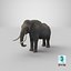 elephant realistic 3d 3ds