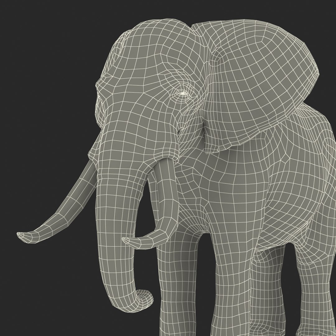 elephant realistic 3d 3ds https://p.turbosquid.com/ts-thumb/Mm/0P3JQ7/VfufkVRB/elephant3dmodel31/jpg/1453135927/1920x1080/fit_q87/f1c5205d258c6a830c81a2b3bc16b113a9b2f9ea/elephant3dmodel31.jpg