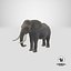 Elephant 3D Model