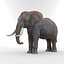 Elephant 3D Model