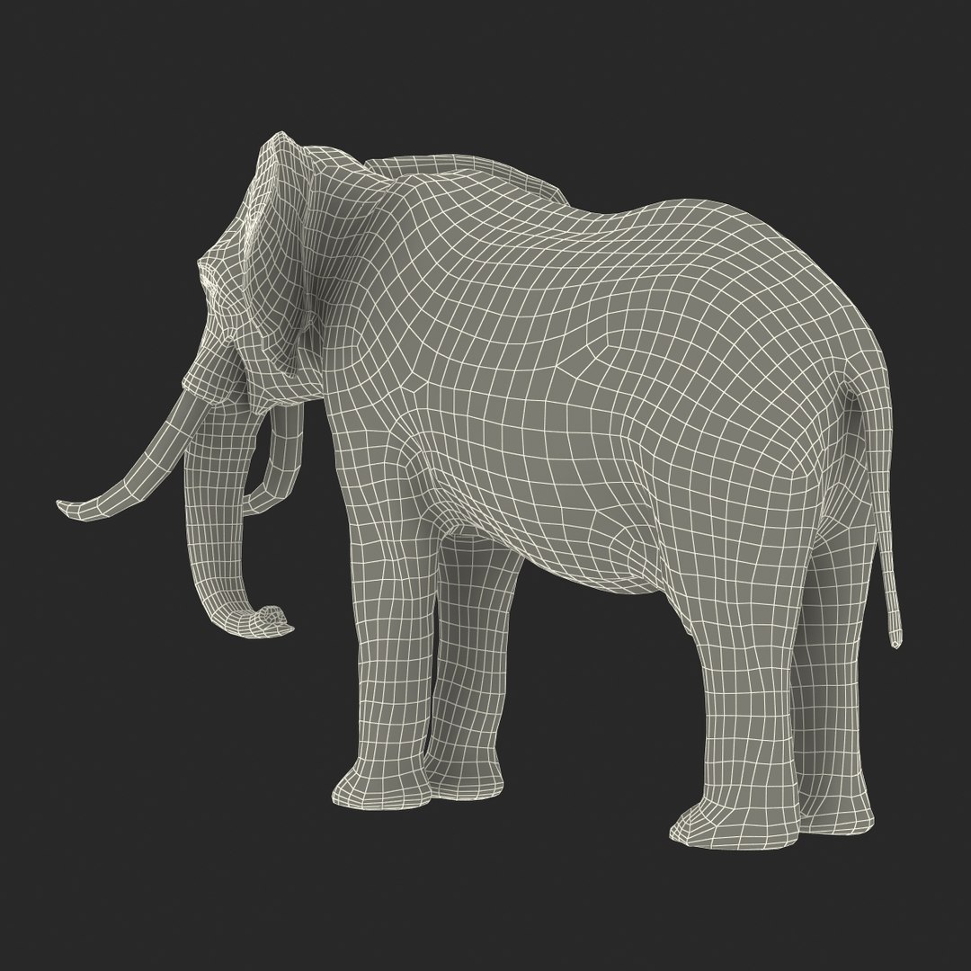 elephant realistic 3d 3ds https://p.turbosquid.com/ts-thumb/Mm/0P3JQ7/WreucR7I/elephant3dmodel28/jpg/1453135927/1920x1080/fit_q87/208a249b447a62da6dca87196400726a0652157d/elephant3dmodel28.jpg